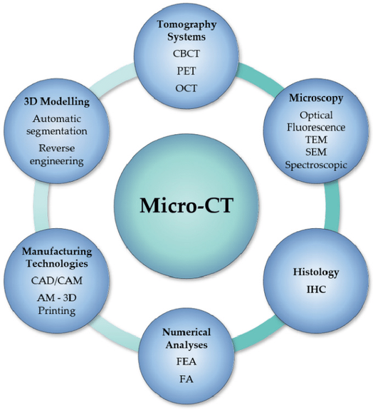 Micro-Tomografia e connessioni con altre specialità