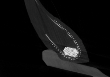 Tomografia computerizzata industriale su pneumatico Visione immagine di pneumatico su cerchione in tomografia