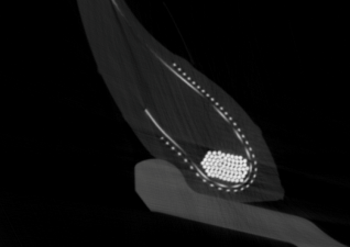 Tomografia computerizzata industriale su pneumatico Visione immagine di pneumatico su cerchione in tomografia