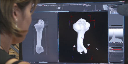 YXLON FF35 CT: Visione Tomografica (CT) osso di un dinosauro