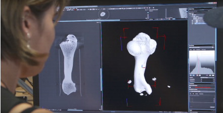YXLON FF35 CT: analisi Tomografica (CT) osso di un dinosauro YXLON FF35 CT: Visione Tomografica (CT) osso di un dinosauro