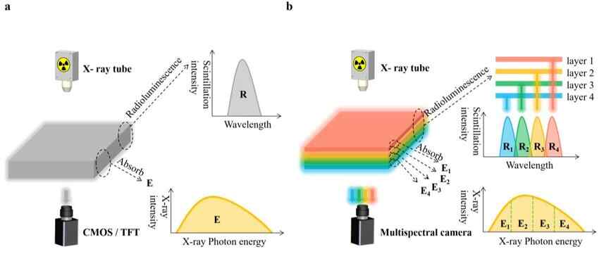 Schema sistema di imaging a raggi X multi-energia e integrati in energia.