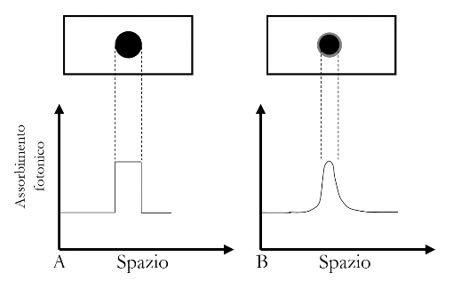 Risoluzione Spaziale