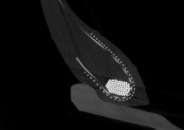 Visione immagine di pneumatico su cerchione in tomografia