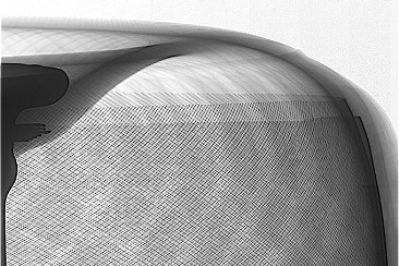 Tomografia computerizzata industriale su pneumatico Visione rete di un pneumatico in tomografia computerzzata